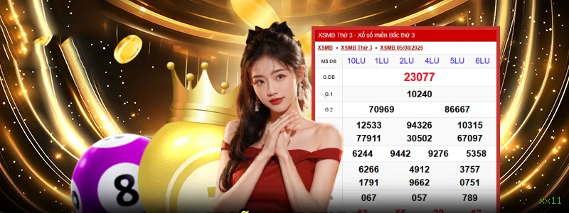 xx11 multi dispositivo